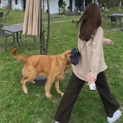 口红